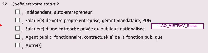 S- Question Statut_Vietrav